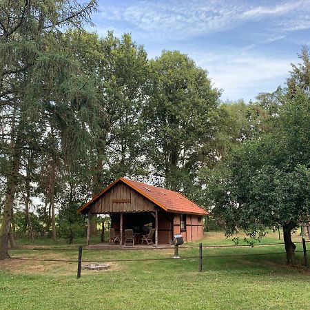 Ferienhaus Am Waldchen Villa Uelsen Dış mekan fotoğraf